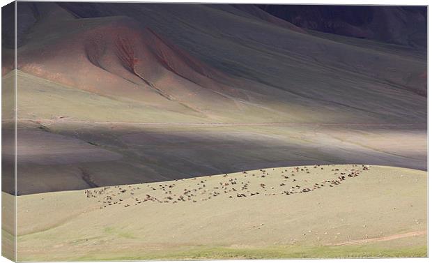 Hills of Kyrgyzstan Canvas Print by Sergey Golotvin
