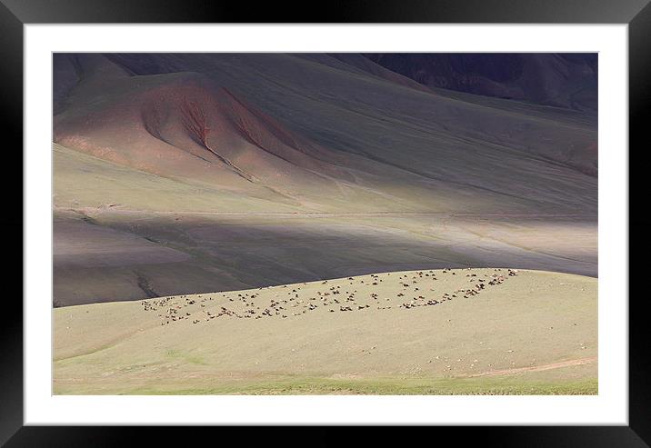 Hills of Kyrgyzstan Framed Mounted Print by Sergey Golotvin