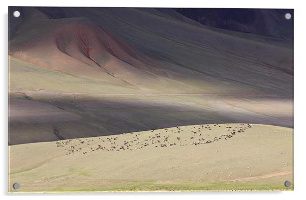 Hills of Kyrgyzstan Acrylic by Sergey Golotvin