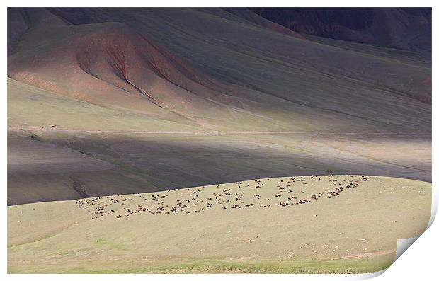 Hills of Kyrgyzstan Print by Sergey Golotvin