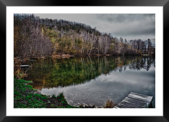 winter pond Framed Mounted Print by Jo Beerens