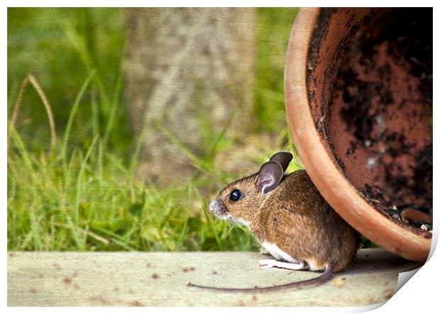 Friendly Woodmouse Print by Dawn Cox