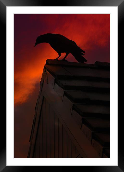NEVERMORE Framed Mounted Print by Tom York