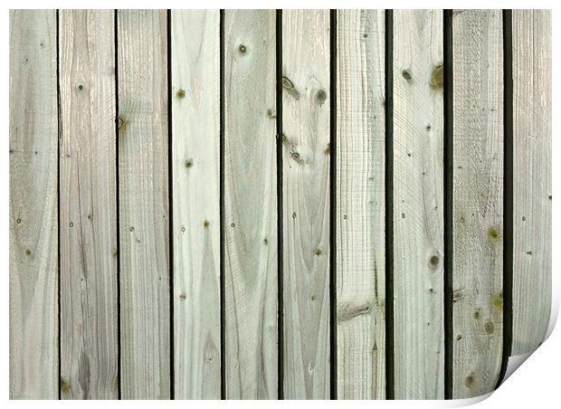 Rustic Charm of Wooden Fence Panels Print by Mike Gorton