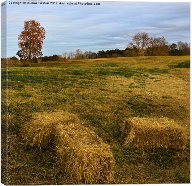 Hay Bales Canvas Print by Michael Waters Photography