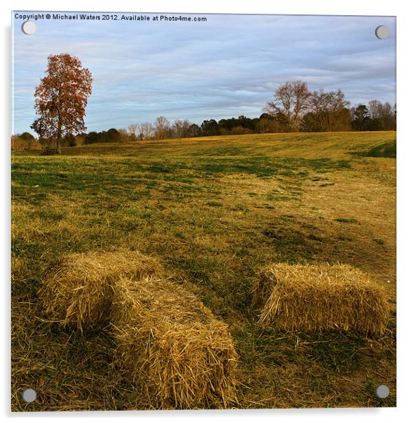 Hay Bales Acrylic by Michael Waters Photography