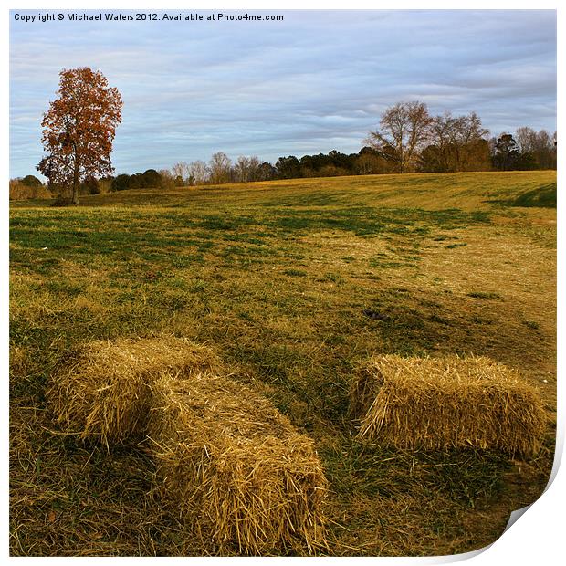 Hay Bales Print by Michael Waters Photography