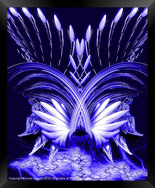 Phoenix Blue Framed Print by Brian  Raggatt