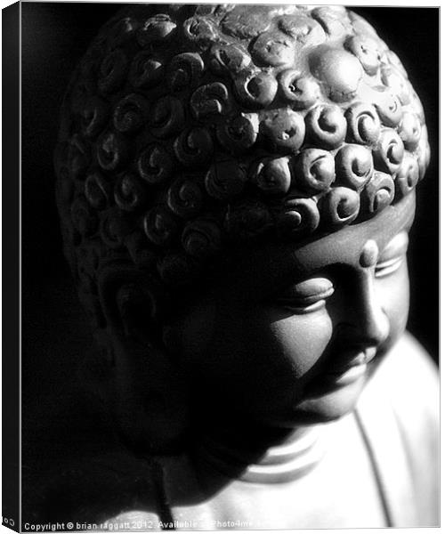 Little Buddha Canvas Print by Brian  Raggatt