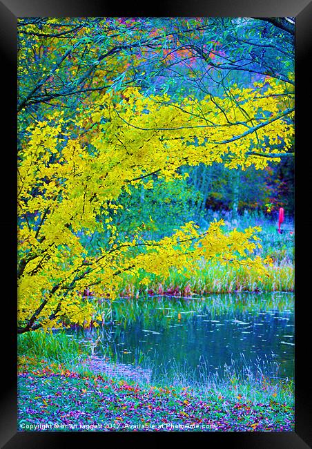 Lake Side Edge Framed Print by Brian  Raggatt