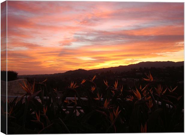 Californian Sunset  Canvas Print by Tim Duck