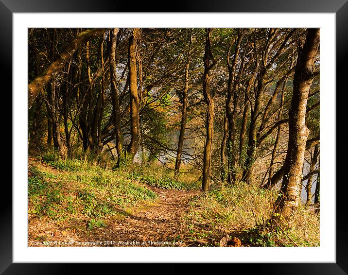 Sunlit woods in late autumn Framed Mounted Print by Louise Heusinkveld