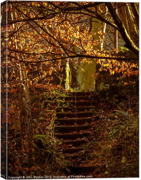 Stepped into the Autumn Light Canvas Print by John Dunbar