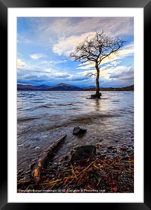 Loch Lomond Tree Framed Mounted Print by Paul Messenger