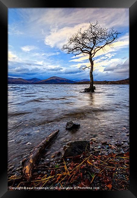 Loch Lomond Tree Framed Print by Paul Messenger