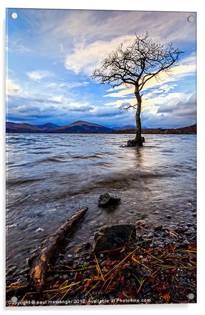 Loch Lomond Tree Acrylic by Paul Messenger