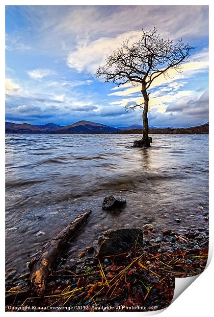 Loch Lomond Tree Print by Paul Messenger