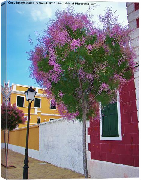 Colours of Menorca Canvas Print by Malcolm Snook