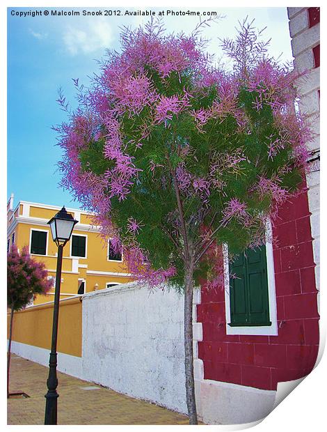 Colours of Menorca Print by Malcolm Snook