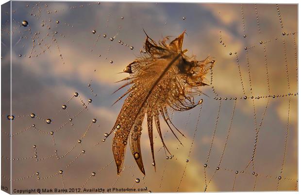 Web Feather Canvas Print by Mark  F Banks