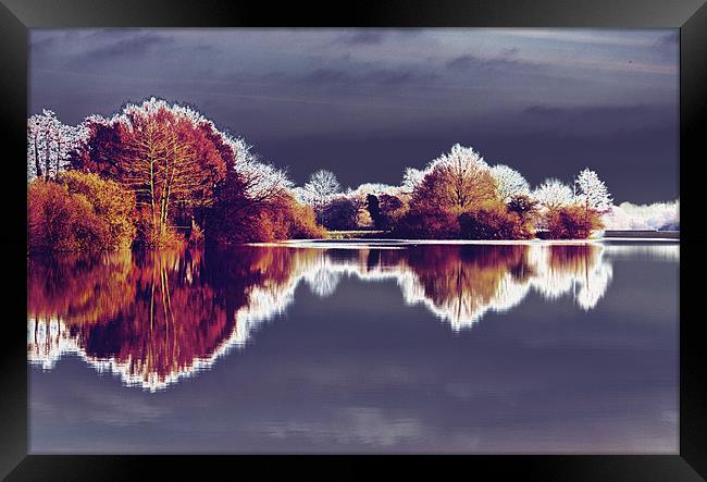 Lake Reflections Framed Print by Darren Burroughs