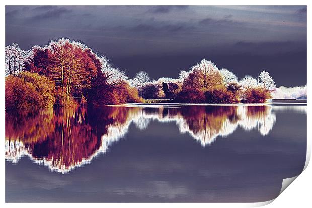 Lake Reflections Print by Darren Burroughs