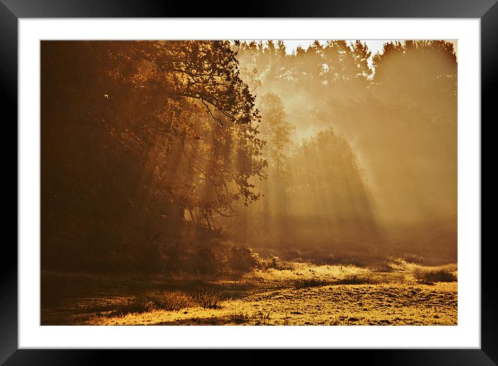 looking towards the light Framed Mounted Print by Dawn Cox