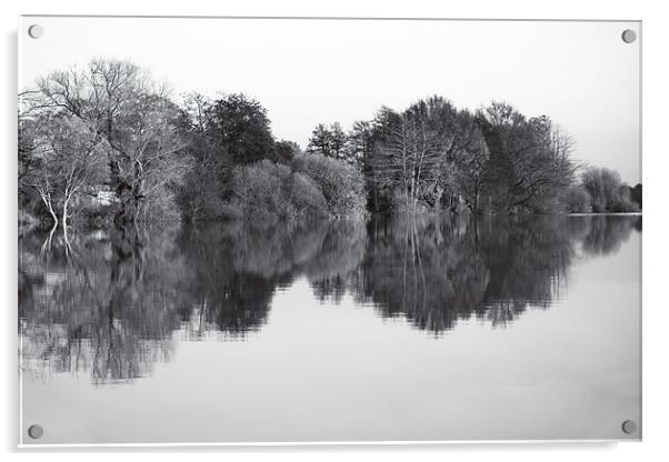 Lake Reflections Acrylic by Darren Burroughs