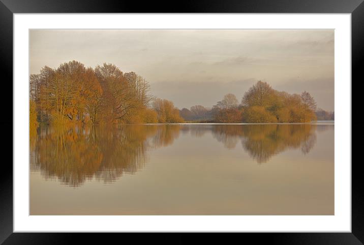 Lake Reflections Framed Mounted Print by Darren Burroughs