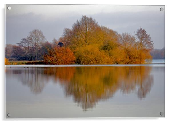 Lake Reflections Acrylic by Darren Burroughs