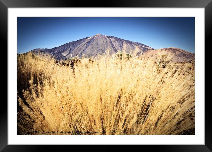 Golden grass and Teide Framed Mounted Print by Phil Crean
