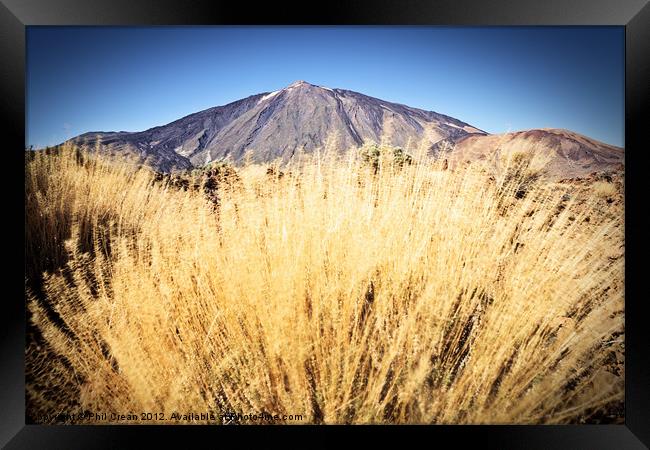 Golden grass and Teide Framed Print by Phil Crean