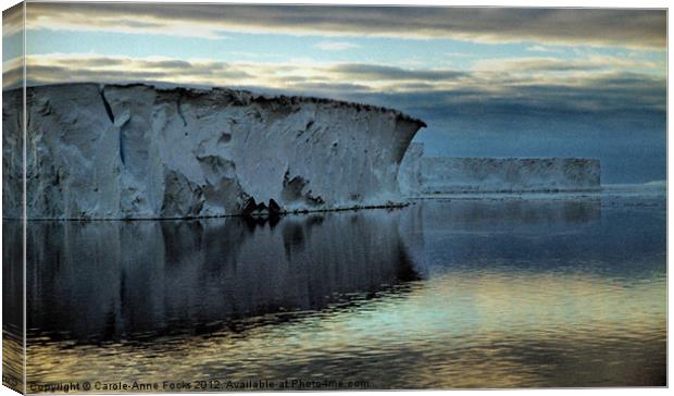 Iceberg in the Ross Sea at Night Canvas Print by Carole-Anne Fooks