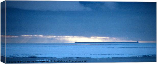 Iceberg in the Ross Sea Panorama Canvas Print by Carole-Anne Fooks