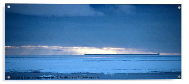 Iceberg in the Ross Sea Panorama Acrylic by Carole-Anne Fooks