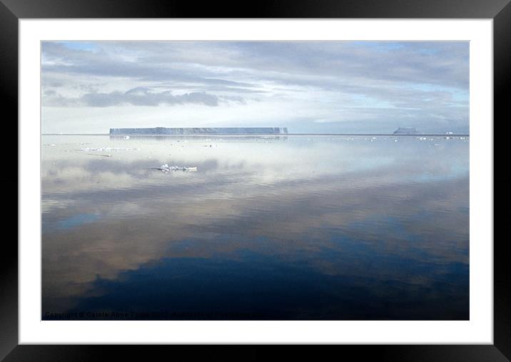 Iceberg Ross Sea Antarctica Framed Mounted Print by Carole-Anne Fooks