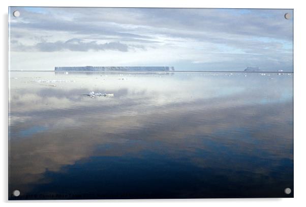 Iceberg Ross Sea Antarctica Acrylic by Carole-Anne Fooks