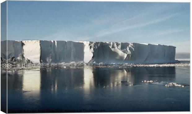 Iceberg Ross Sea Antarctica Canvas Print by Carole-Anne Fooks
