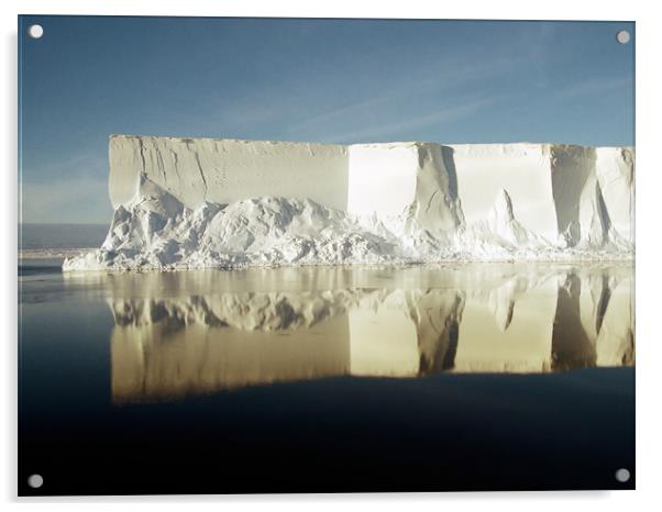 Iceberg Ross Sea Antarctica Acrylic by Carole-Anne Fooks
