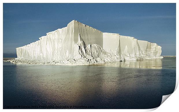 Iceberg Ross Sea Antarctica Print by Carole-Anne Fooks