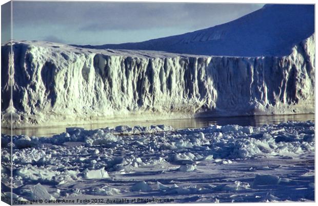 Iceberg Ross Sea Antarctica Canvas Print by Carole-Anne Fooks