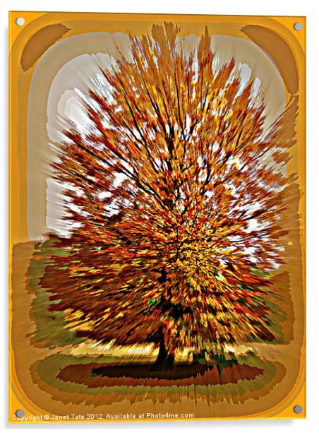 Autumn Poster Acrylic by Janet Tate