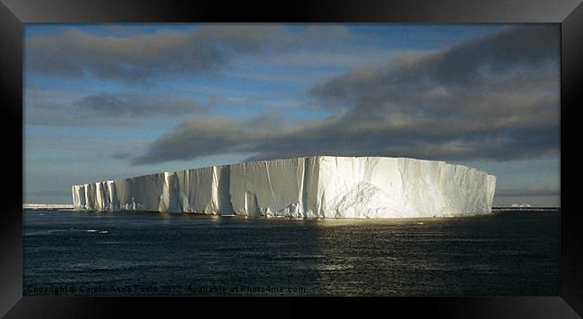 Iceberg Ross Sea Antarctica Framed Print by Carole-Anne Fooks