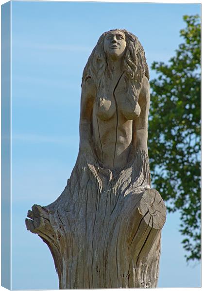 Woman emerging from tree Canvas Print by Bill Simpson