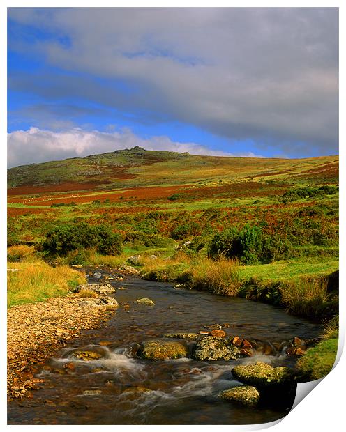 River Lyd Looking Towards Great Links Tor Print by Darren Galpin