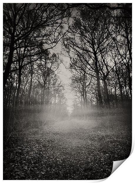 Haunted Wood Print by Paul Fisher