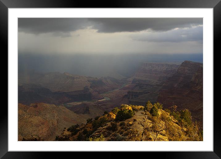 Grand Canyon and Colorado River Framed Mounted Print by Claudio Del Luongo