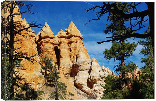 Rock towers, Bryce Canyon, Utah Canvas Print by Claudio Del Luongo