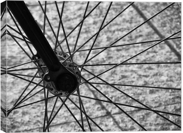 Spokes Canvas Print by Mary Lane
