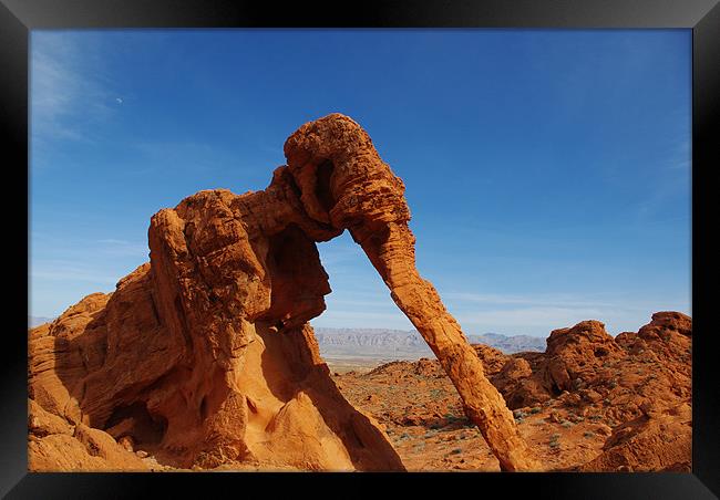 Elephant Rock, Valley of Fire, Nevada Framed Print by Claudio Del Luongo